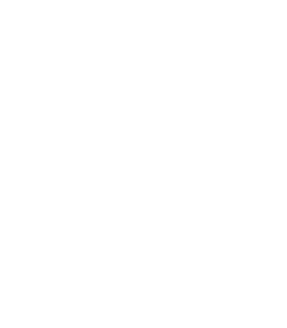 Stellasidus Agence Web Réunion 974