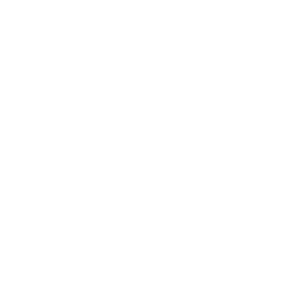LOGO 2 BLANC