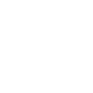 LOGO 2 BLANC