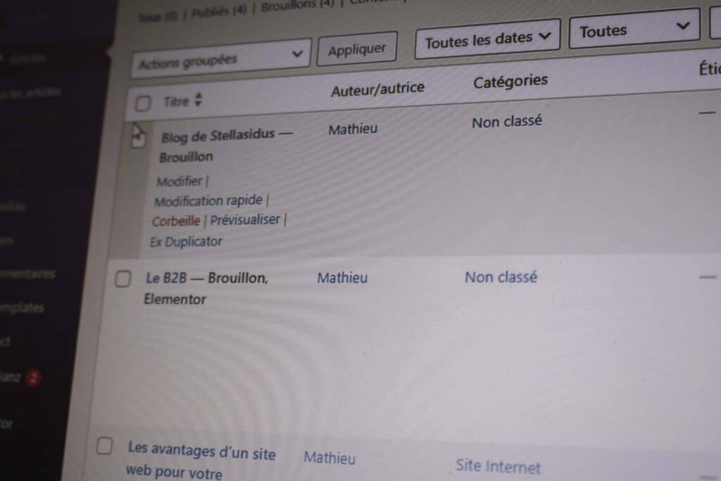 Création Site Web Réunion 974 avec WordPress et WooCommerce