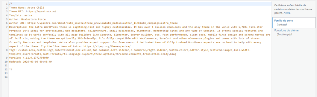 Code d'un Theme Enfant sur un Site Internet WordPress à la Réunion 974